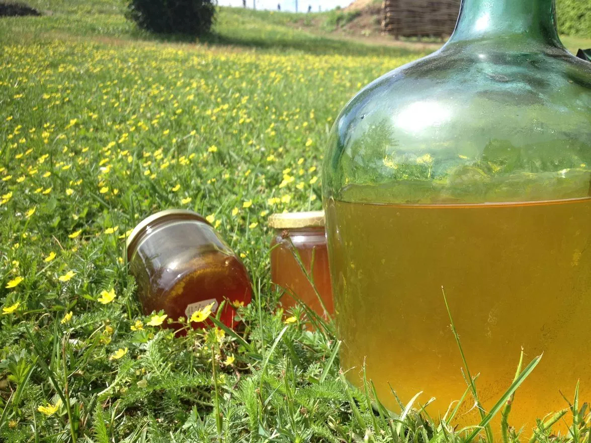 Hydromel - 75 cl